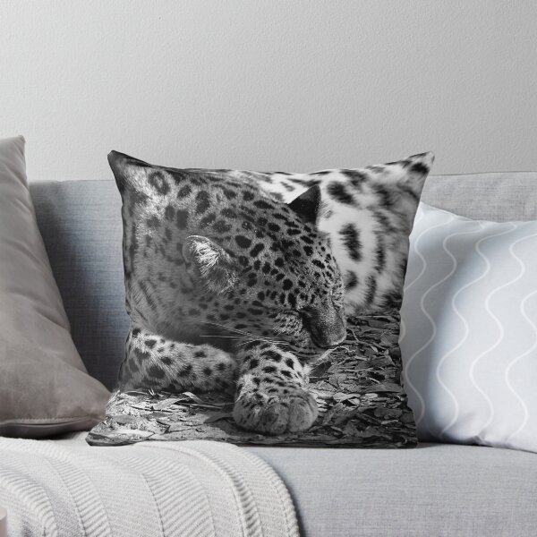 Item preview, Leopardo yace durmiendo en blanco y negro designed and sold by KbytesOfJax Outdoor and Nature.