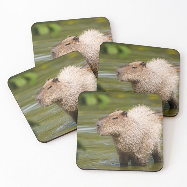 Item preview, Capybara designed and sold by Cloudtail.