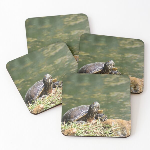 Item preview, turtle designed and sold by Cloudtail.