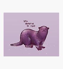 "You Deserve to Rest" Otter Photographic Print
