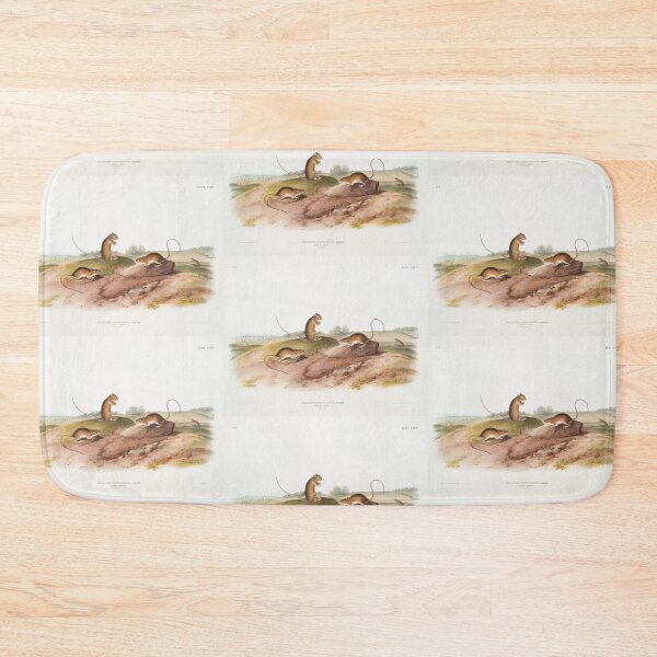 Item preview, Jumping Mouse  - John James Audubon designed and sold by Vintage Designs +.