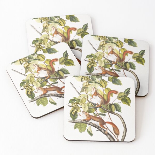 Item preview, Lovely Squirrel illustration - John James Audubon designed and sold by Vintage Designs +.