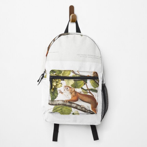 Item preview, Lovely Squirrel illustration - John James Audubon designed and sold by Vintage Designs +.