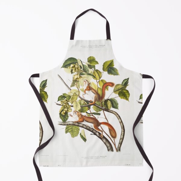 Item preview, Lovely Squirrel illustration - John James Audubon designed and sold by Vintage Designs +.
