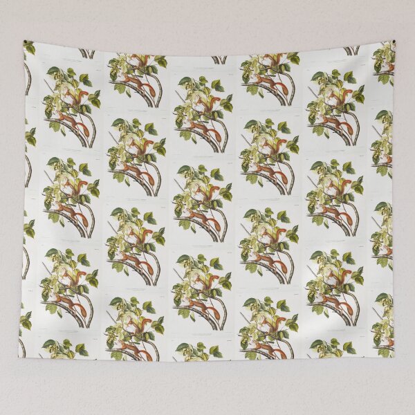 Item preview, Lovely Squirrel illustration - John James Audubon designed and sold by Vintage Designs +.