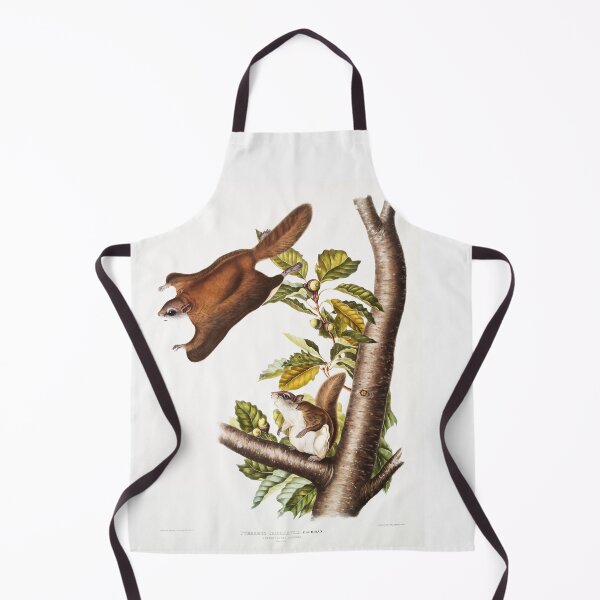 Item preview, Flying Squirrel - John James Audubon designed and sold by Vintage Designs +.