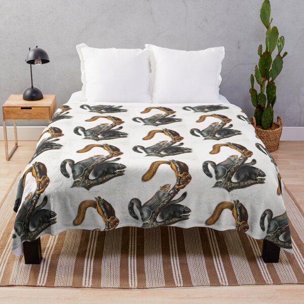 Item preview, Lovely Squirrel illustration - John James Audubon designed and sold by Vintage Designs +.
