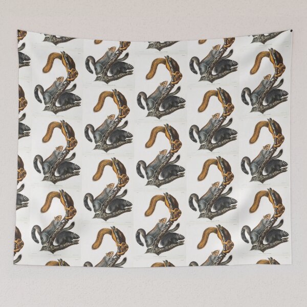 Item preview, Lovely Squirrel illustration - John James Audubon designed and sold by Vintage Designs +.