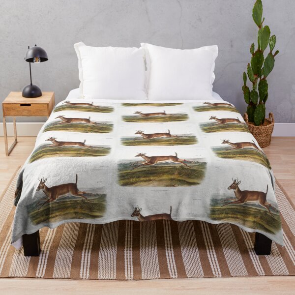 Item preview, Deer - John James Audubon designed and sold by Vintage Designs +.