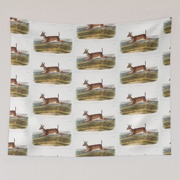 Item preview, Deer - John James Audubon designed and sold by Vintage Designs +.