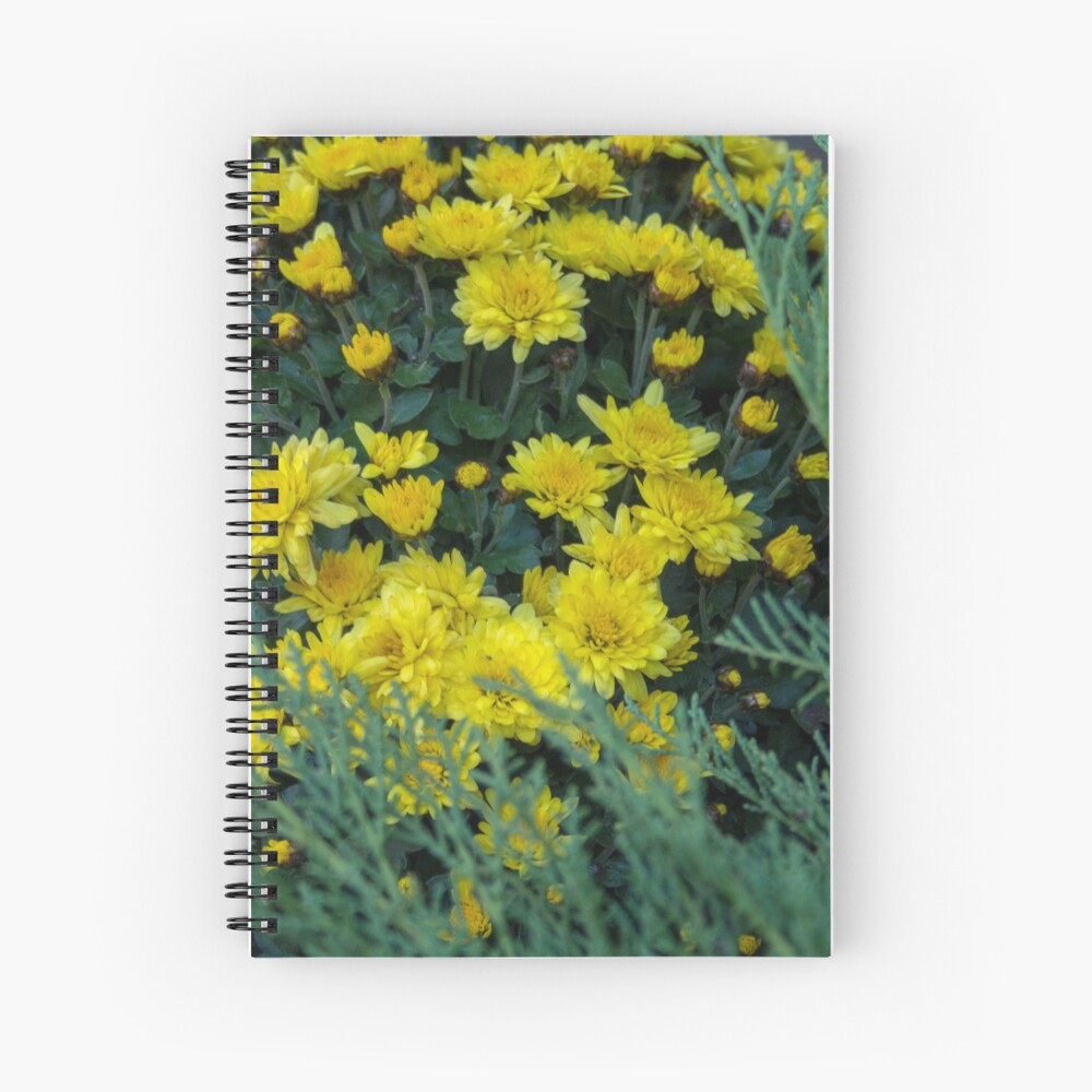 Floral Autumn arrangement. Chrysanthemums, yellow and dark purple, red Spiral Notebook