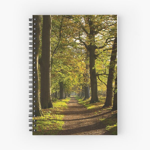 Item preview, Enjoying a sunny morning in early November designed and sold by jchanders.