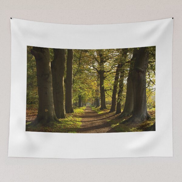 Item preview, Enjoying a sunny morning in early November designed and sold by jchanders.