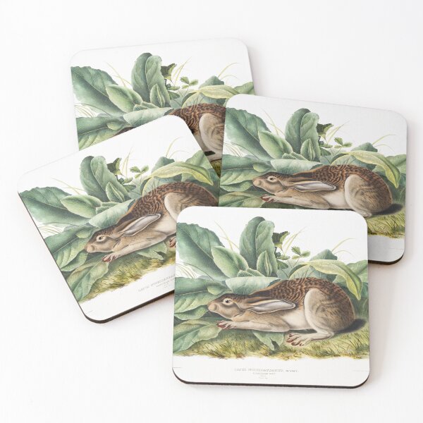Item preview, Black Tailed  Hare  - John James Audubon designed and sold by Vintage Designs +.