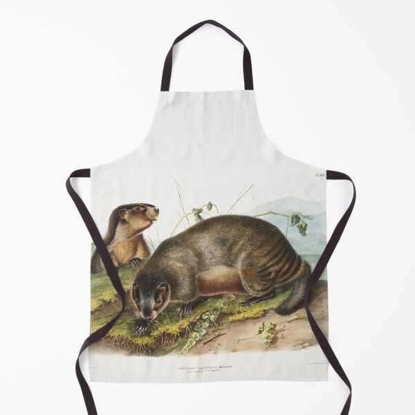 Item preview, Hoary Marmot   - John Woodhouse Audubon designed and sold by Vintage Designs +.