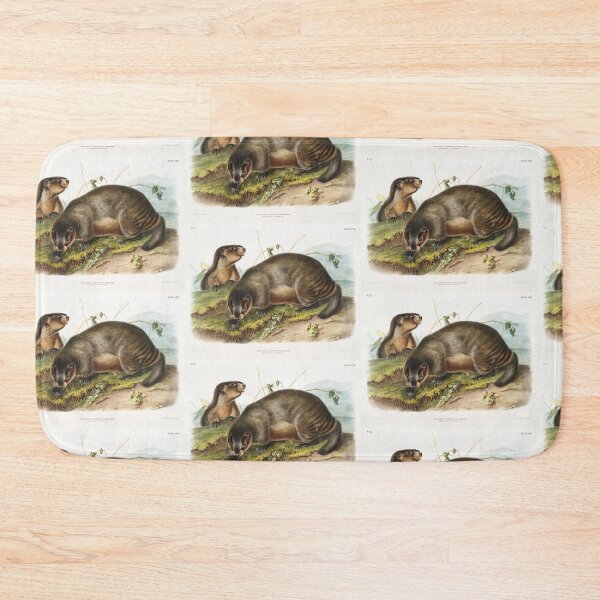 Item preview, Hoary Marmot   - John Woodhouse Audubon designed and sold by Vintage Designs +.