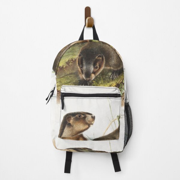 Item preview, Hoary Marmot   - John Woodhouse Audubon designed and sold by Vintage Designs +.