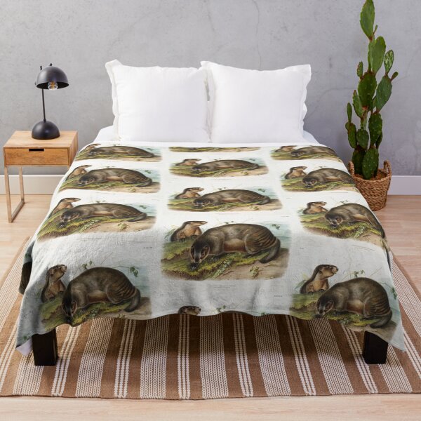 Item preview, Hoary Marmot   - John Woodhouse Audubon designed and sold by Vintage Designs +.