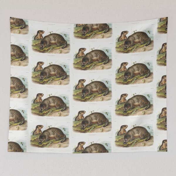Item preview, Hoary Marmot   - John Woodhouse Audubon designed and sold by Vintage Designs +.