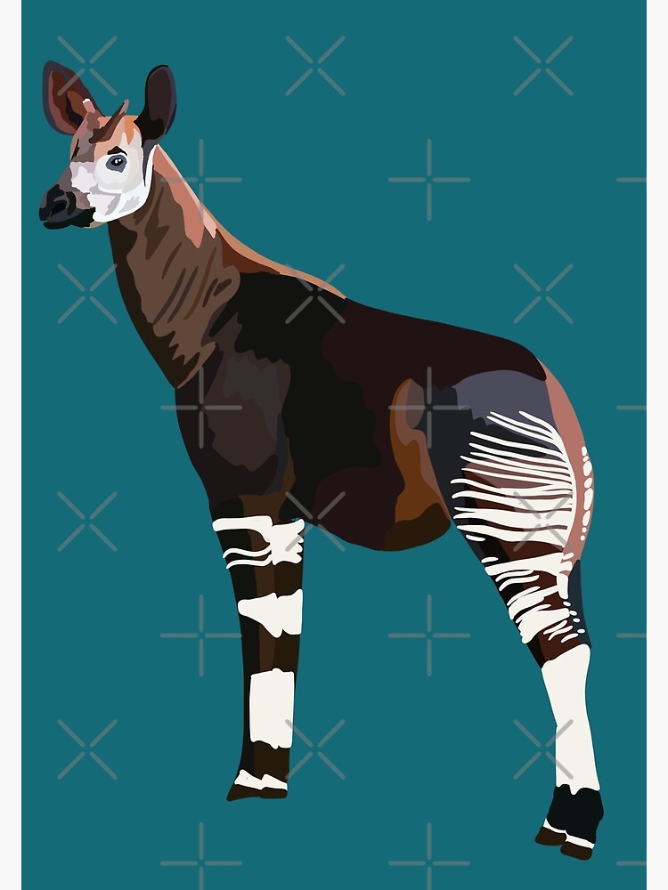 Just a Girl Who Loves Okapi Graphic by 0zahidhossain01 · Creative Fabrica