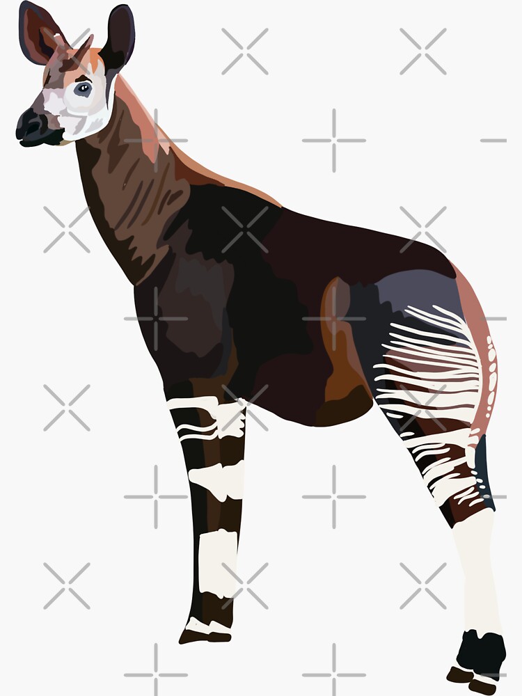 Thumbnail 3 of 3, Sticker, O is for Okapi designed and sold by thezoogirl.