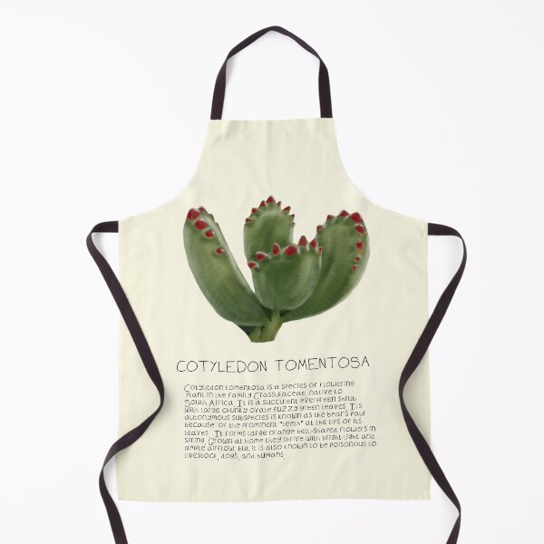 Item preview, Bear paw cactus Genus Print designed and sold by DesignsBySaxton.
