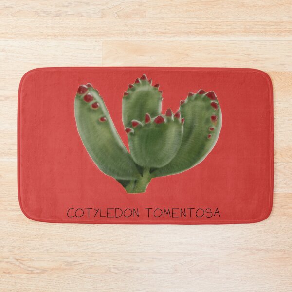 Item preview, Bear paw cactus Genus Print designed and sold by DesignsBySaxton.