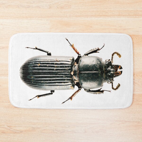 Item preview, Patent-leather Beetle  (Odontotaenius disjunctus) designed and sold by Tim Christensen.