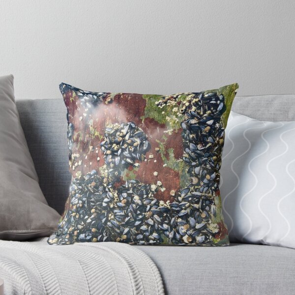 Item preview, Exploring Tide Pools in Maine designed and sold by Christine  Wilson Photos.