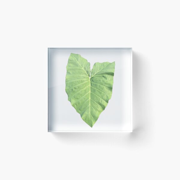 Item preview, Elephant Ear Leaf designed and sold by designcardinal.