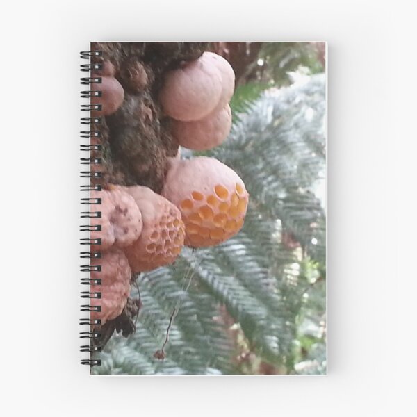 Item preview, Rainforest Dwellers designed and sold by Judi Rustage.