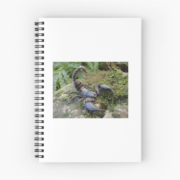 Item preview, Asian Forest Scorpion designed and sold by Tropicalsteve.