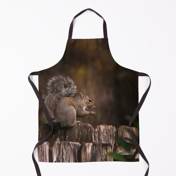 Item preview, Squirrel on Fence with Nut designed and sold by KbytesOfJax Outdoor and Nature.