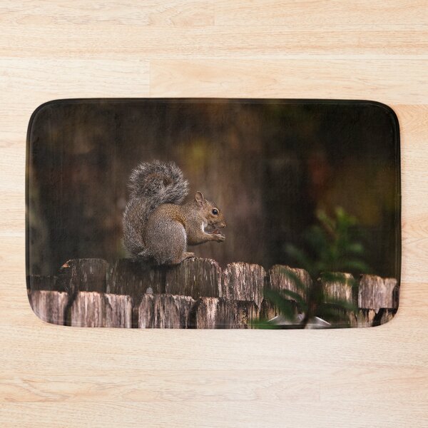 Item preview, Squirrel on Fence with Nut designed and sold by KbytesOfJax Outdoor and Nature.