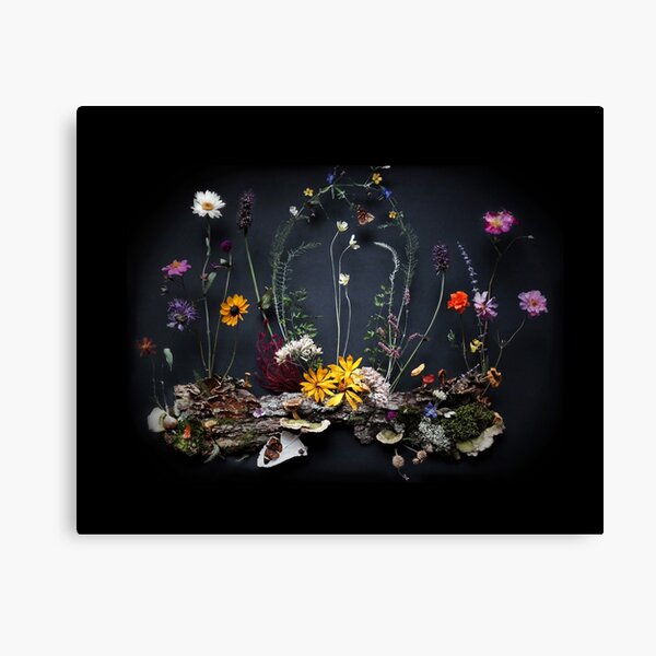 Evening Niche Canvas Print