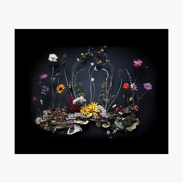 Evening Niche Photographic Print