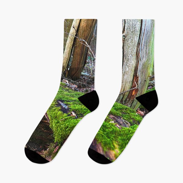 Item preview, Moss on old wood designed and sold by frankuffmann.