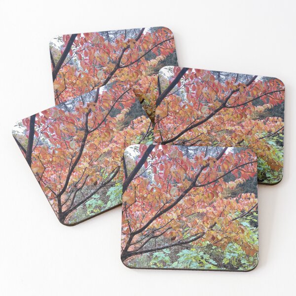 Item preview, Dogwood in the Fall designed and sold by bryanmcclelland.
