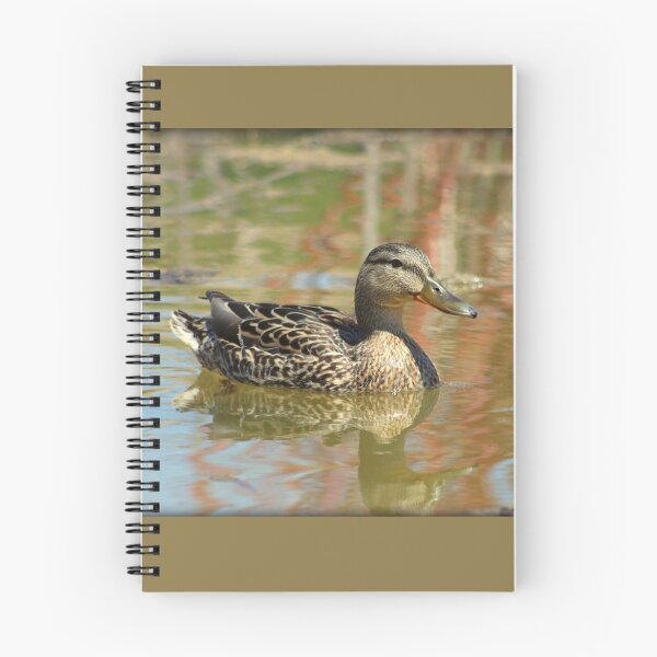 Item preview, Female Mallard Duck in Pond designed and sold by anitahiltz.