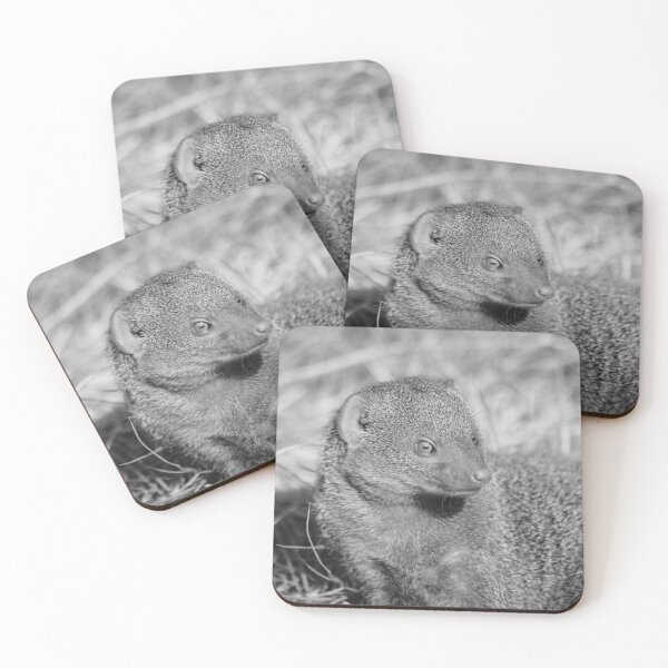 Item preview, Dwarf Mongoose designed and sold by Tropicalsteve.