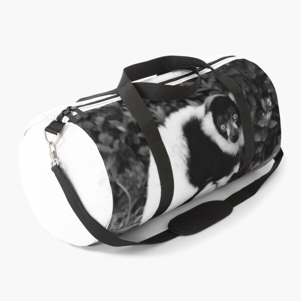 Item preview, Black and White Ruffed Lemur designed and sold by Tropicalsteve.