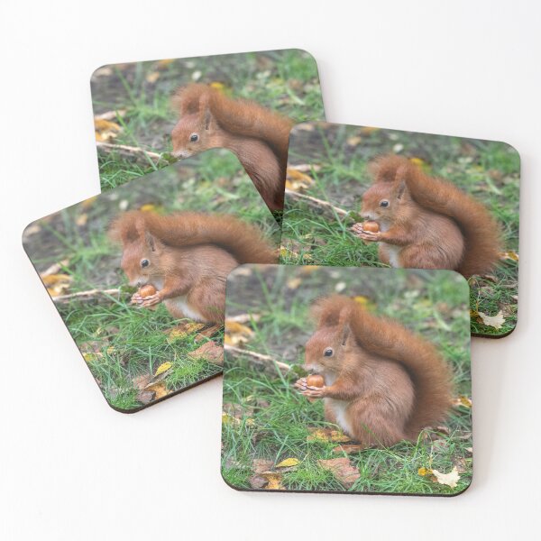 Item preview, Red squirrel designed and sold by Steve Liptrot Photography.