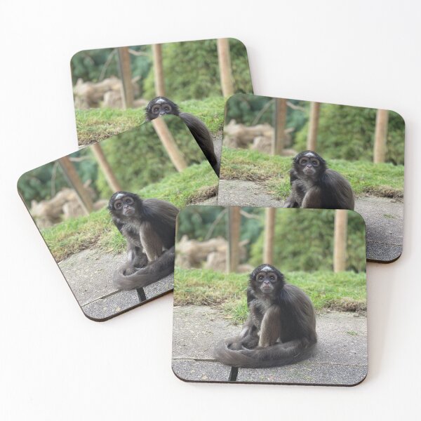 Item preview, Variegated spider monkey designed and sold by Nadiagould.