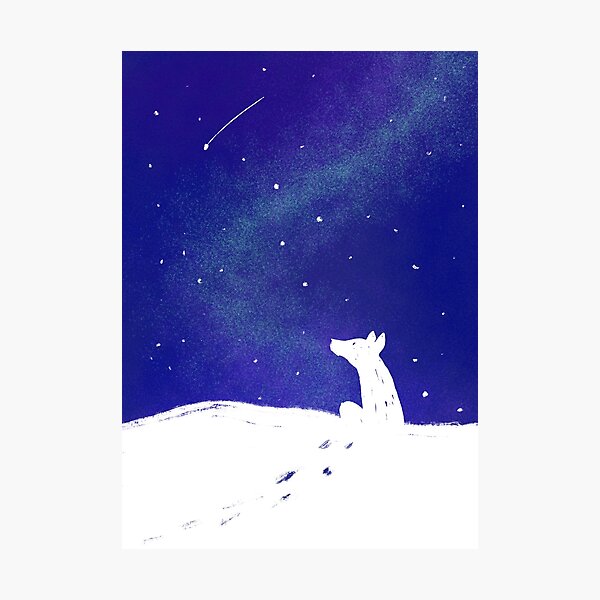 Starry night Photographic Print
