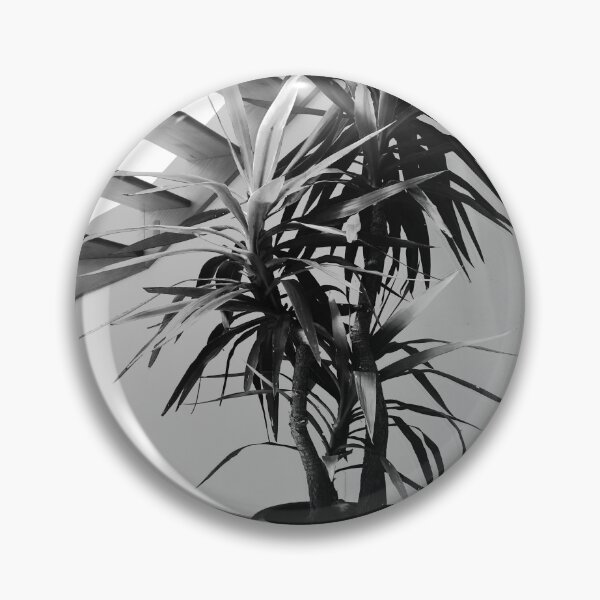 Item preview, Yucca. designed and sold by Paul Pasco.