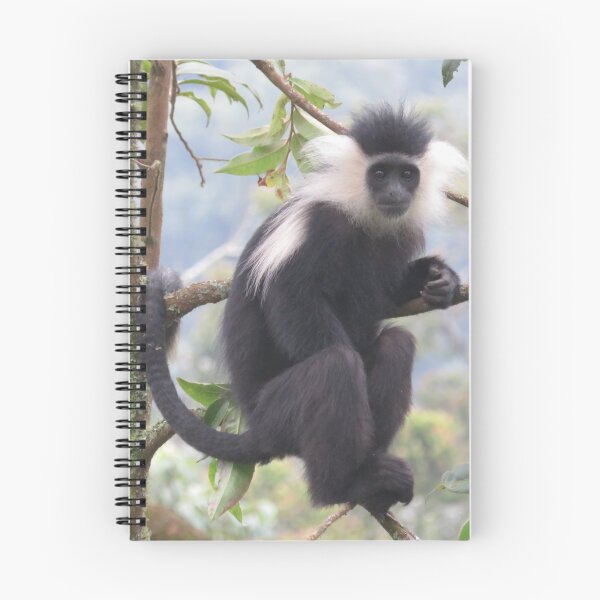 Artikelvorschau, Angolanischer Colobus entworfen und verkauft von Nadiagould.