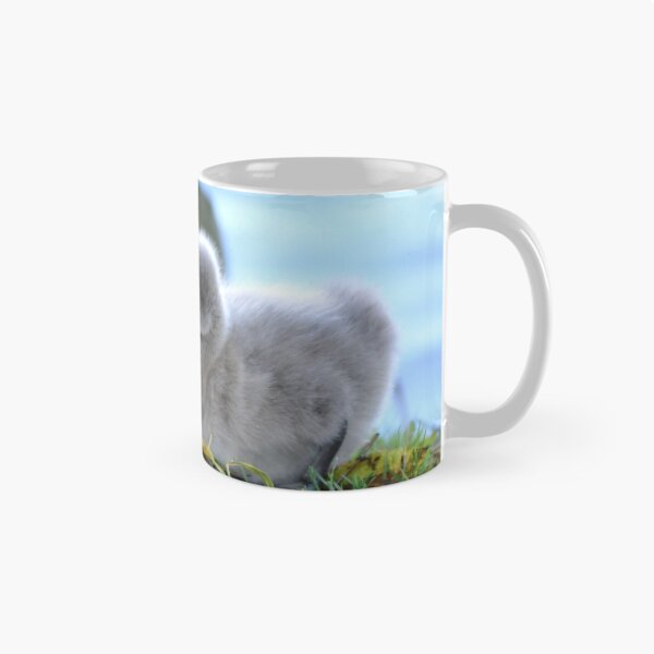 Item preview, Black Swan Cygnets at Dawlish  designed and sold by rosiephotos.