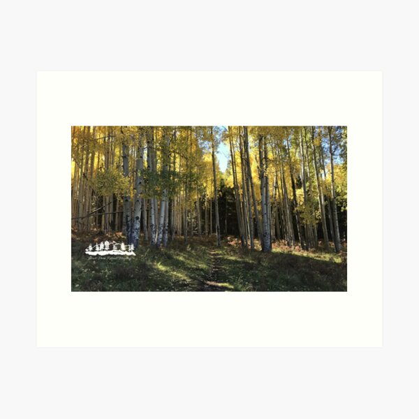 Aspen Corner Trail from Forest Peak Retreat - From ccnow.info Art Print