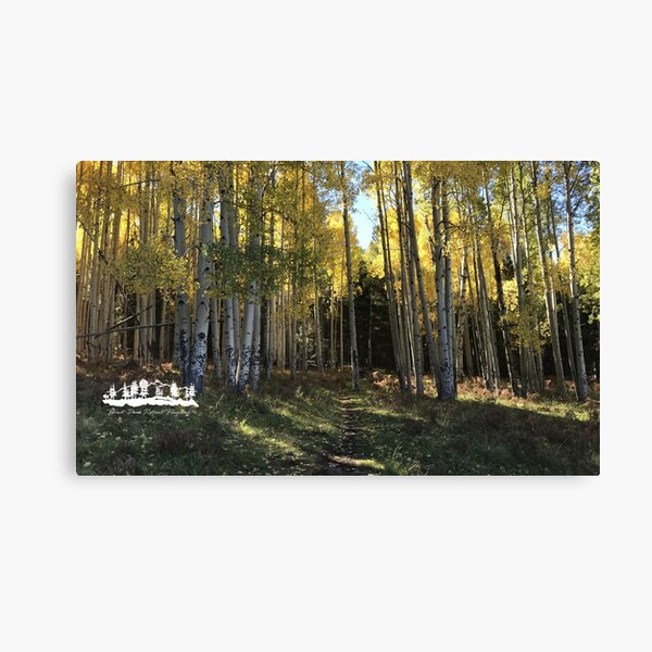 Aspen Trail from Forest Peak Retreat - From ccnow.info Canvas Print