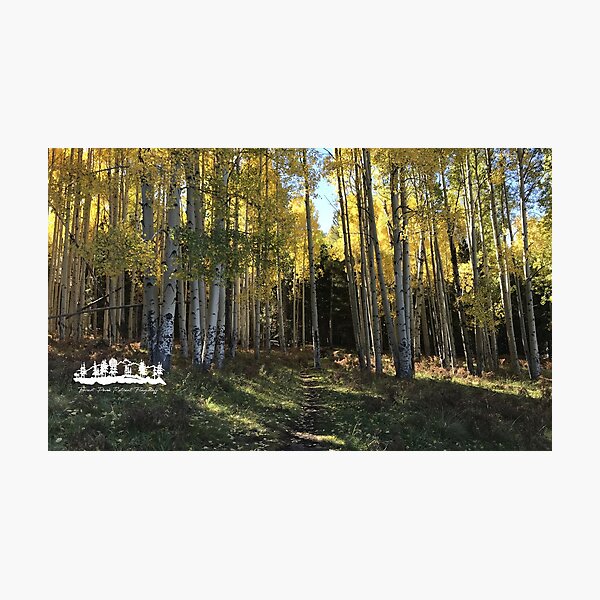 Aspen Corner Trail from Forest Peak Retreat - From ccnow.info Photographic Print